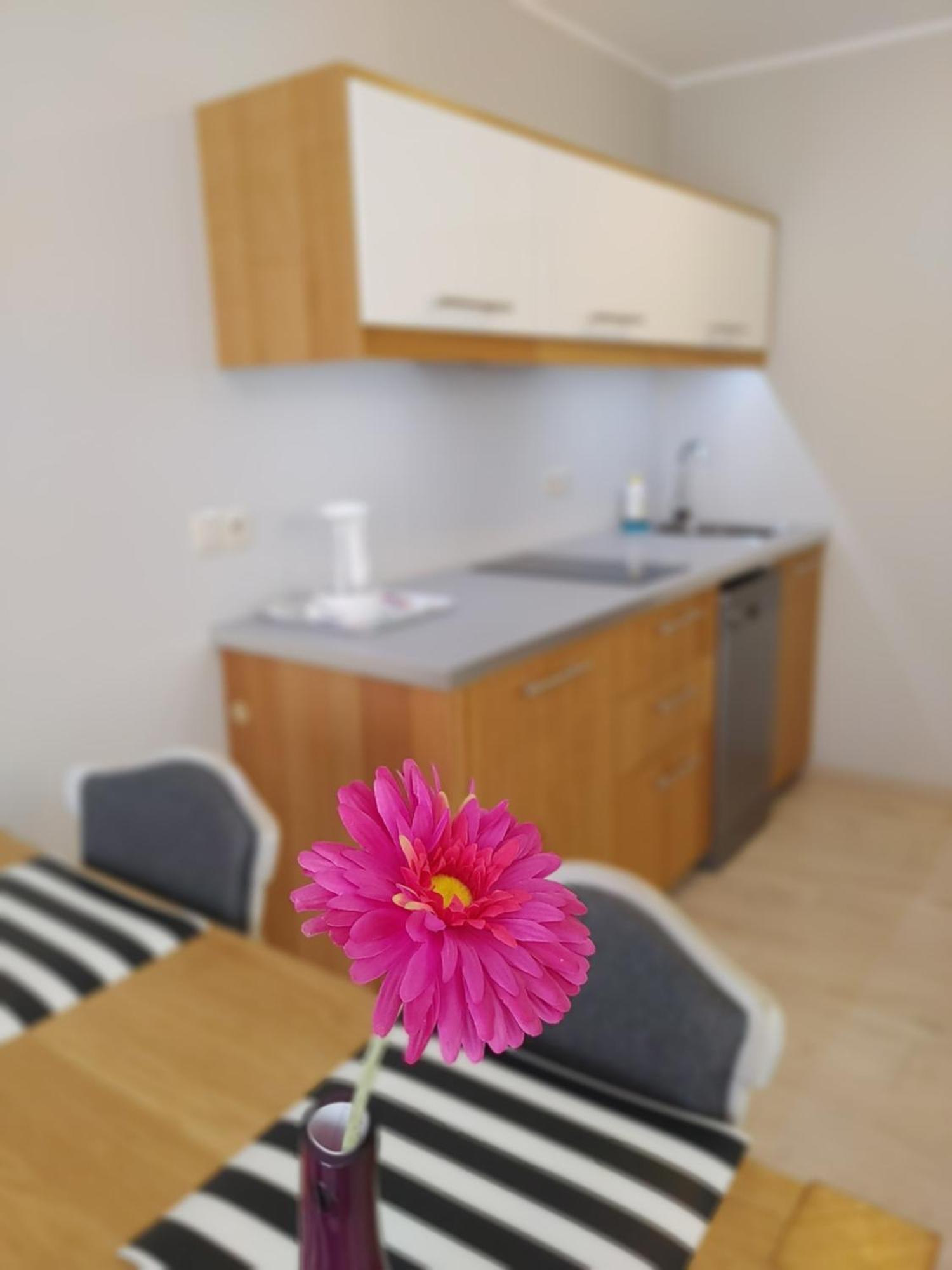 Aparthotel Luna&Sol Jastrzębia Góra 외부 사진